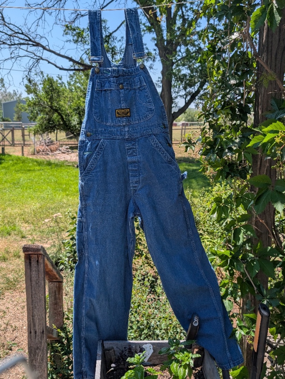 Washington Dee Cee Sanforized Classic Overalls - Picture 3 of 11